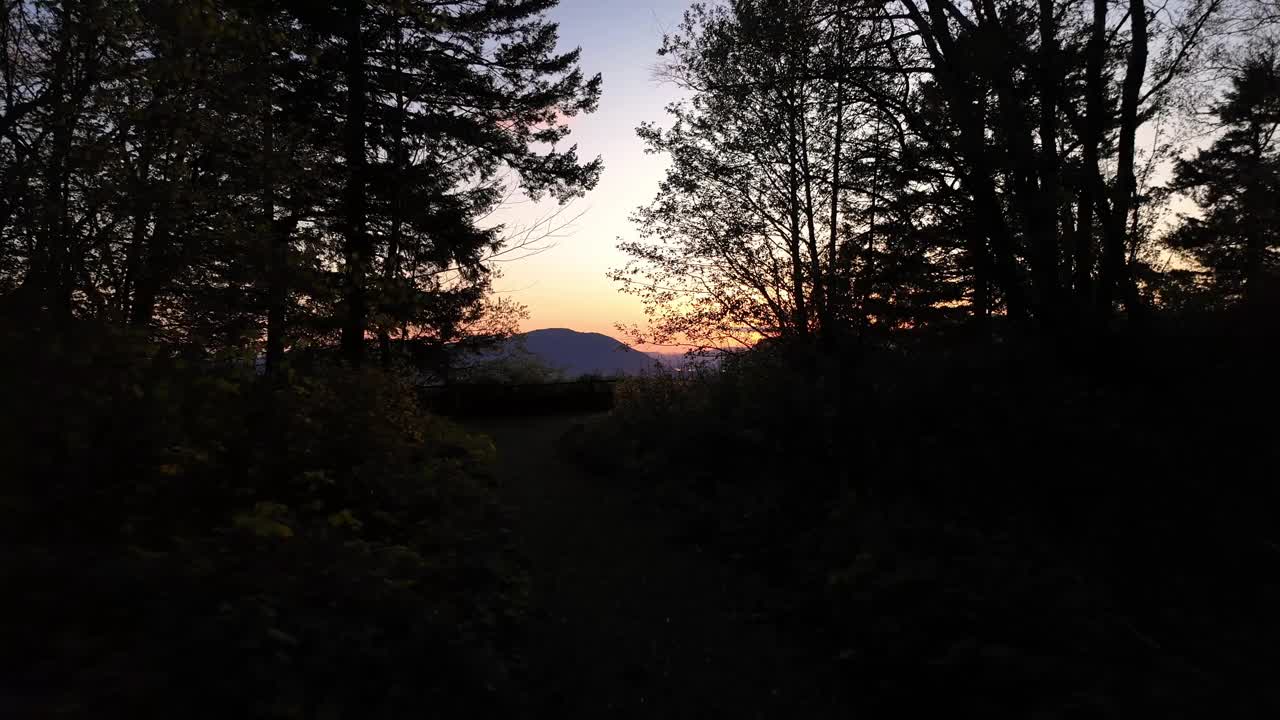 奇利瓦克步道山顶的风景观景点。夕阳西下，春暖花开的季节。树木,注意。加拿大不列颠哥伦比亚省视频下载