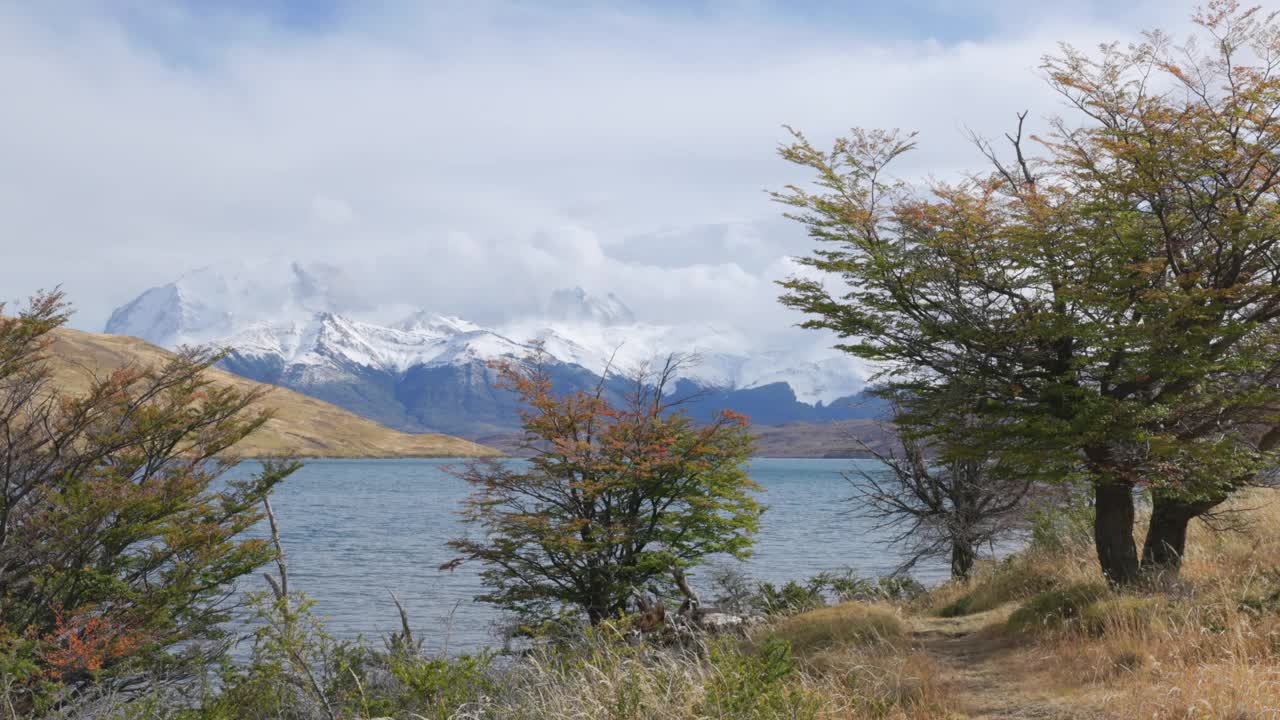 蔚蓝湖岸边的几棵山毛榉树开始显示出秋天的色彩视频素材