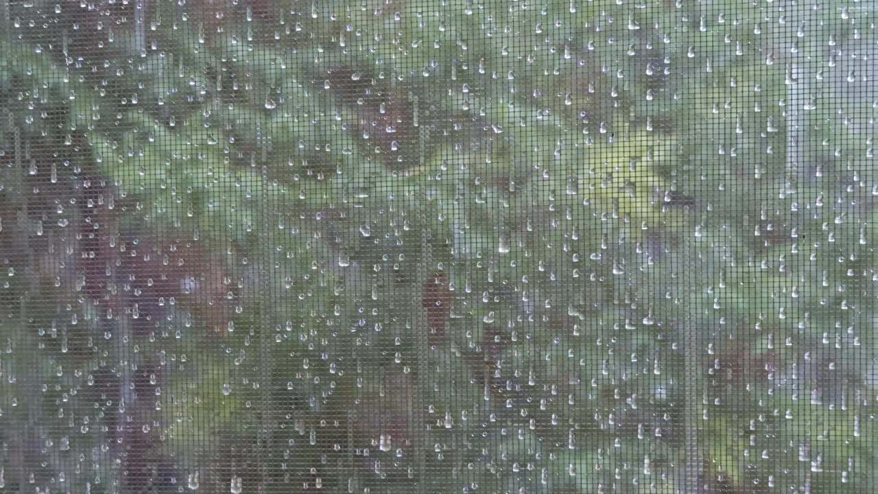 窗外大雨，隔着蚊帐看。视频下载