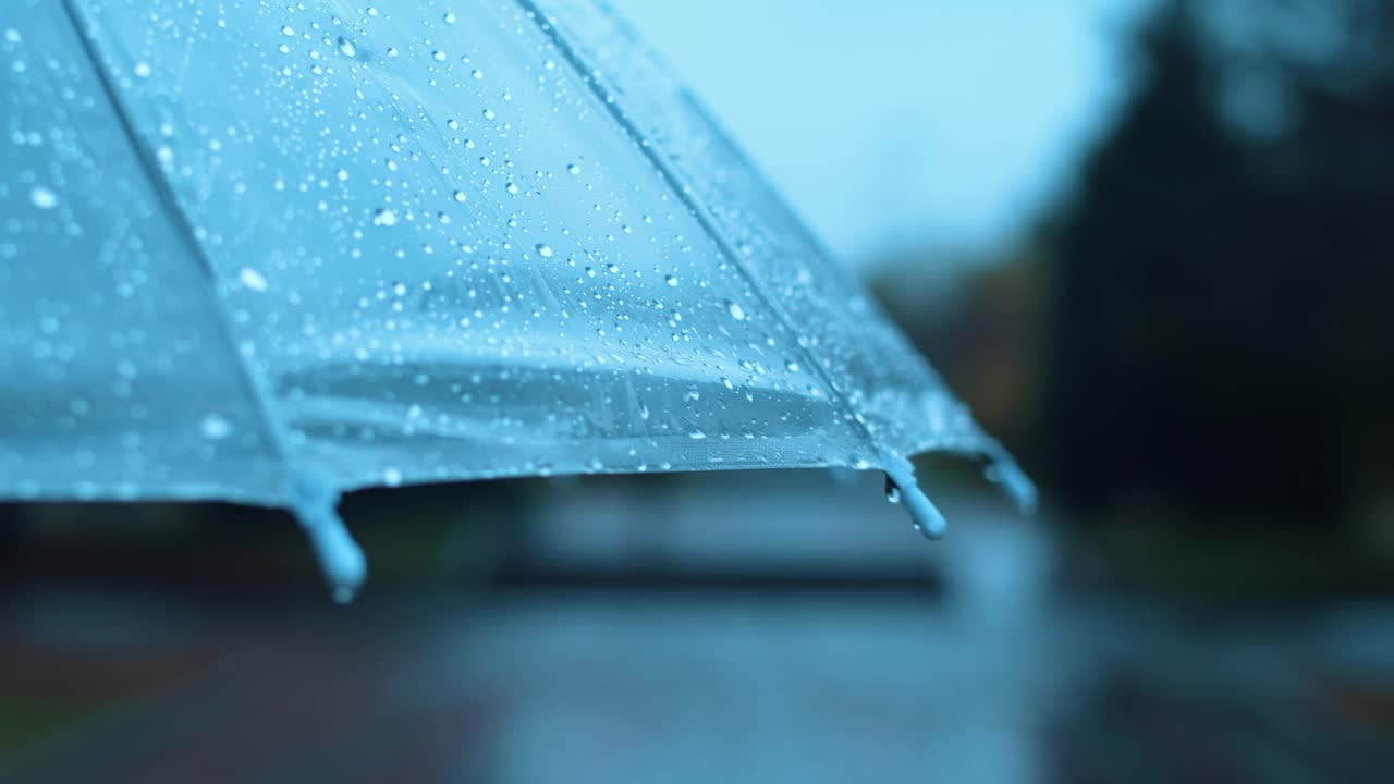 在阴天和湿沥青的背景下，在城市公园户外散步时，伞被雨滴覆盖的特写视频下载