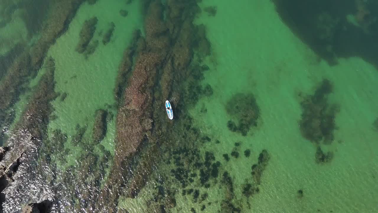 在海面上划桨冲浪视频素材