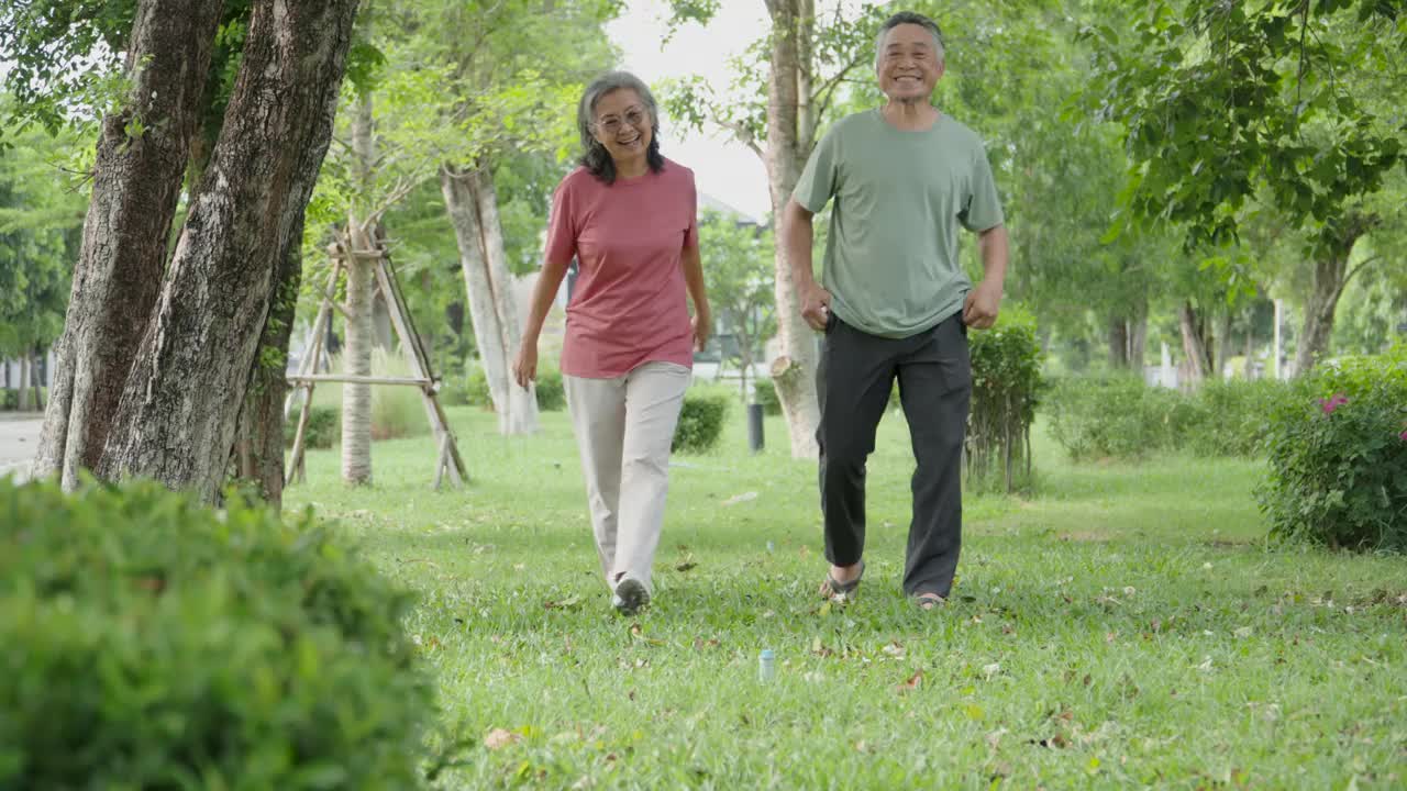 亚洲老年夫妇手牵着手在花园里散步。视频素材