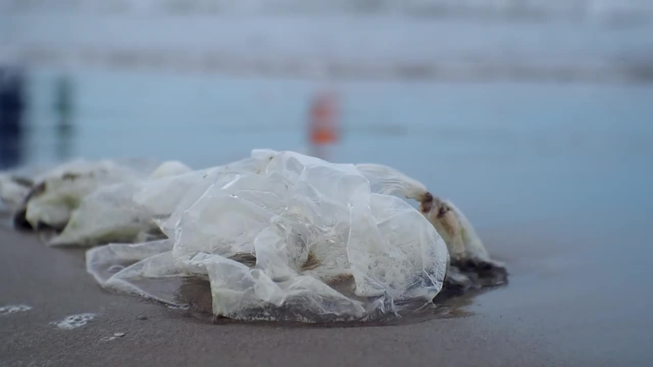 特写，海滩上的塑料垃圾视频下载