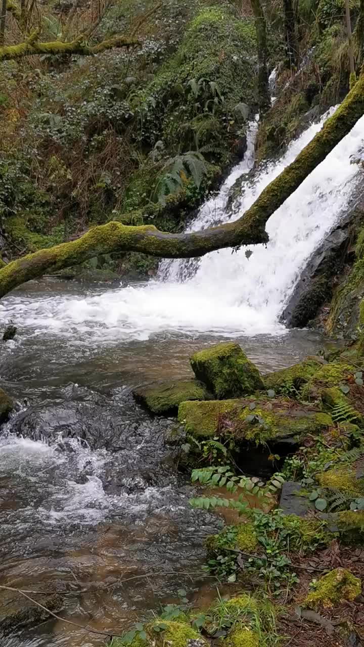 一股水流沿着一条布满岩石的小路流下来。Peña del Encanto, San Tirso de Abres。视频素材