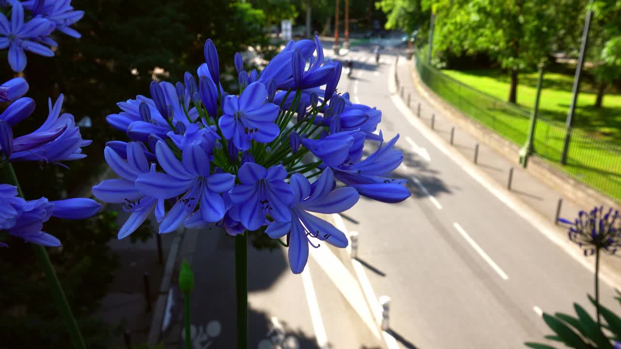 城市中的街道有车道和步行街，城市中的街道有车道和步行区视频下载