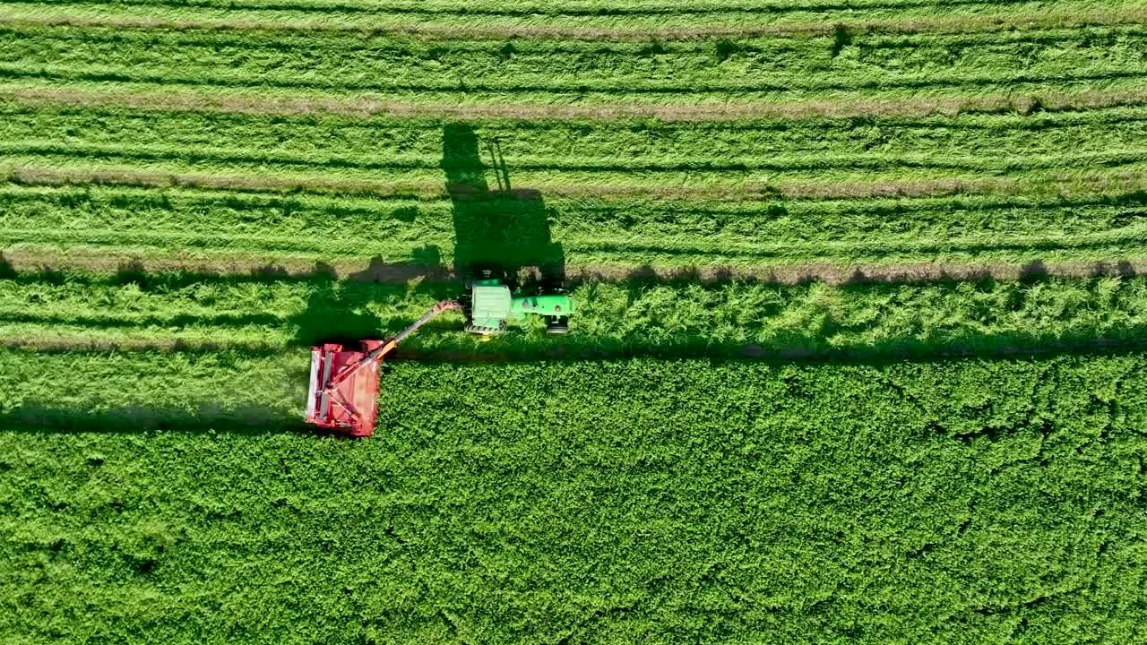 拖拉机在绿地收割干草作物的高角度无人机镜头视频下载