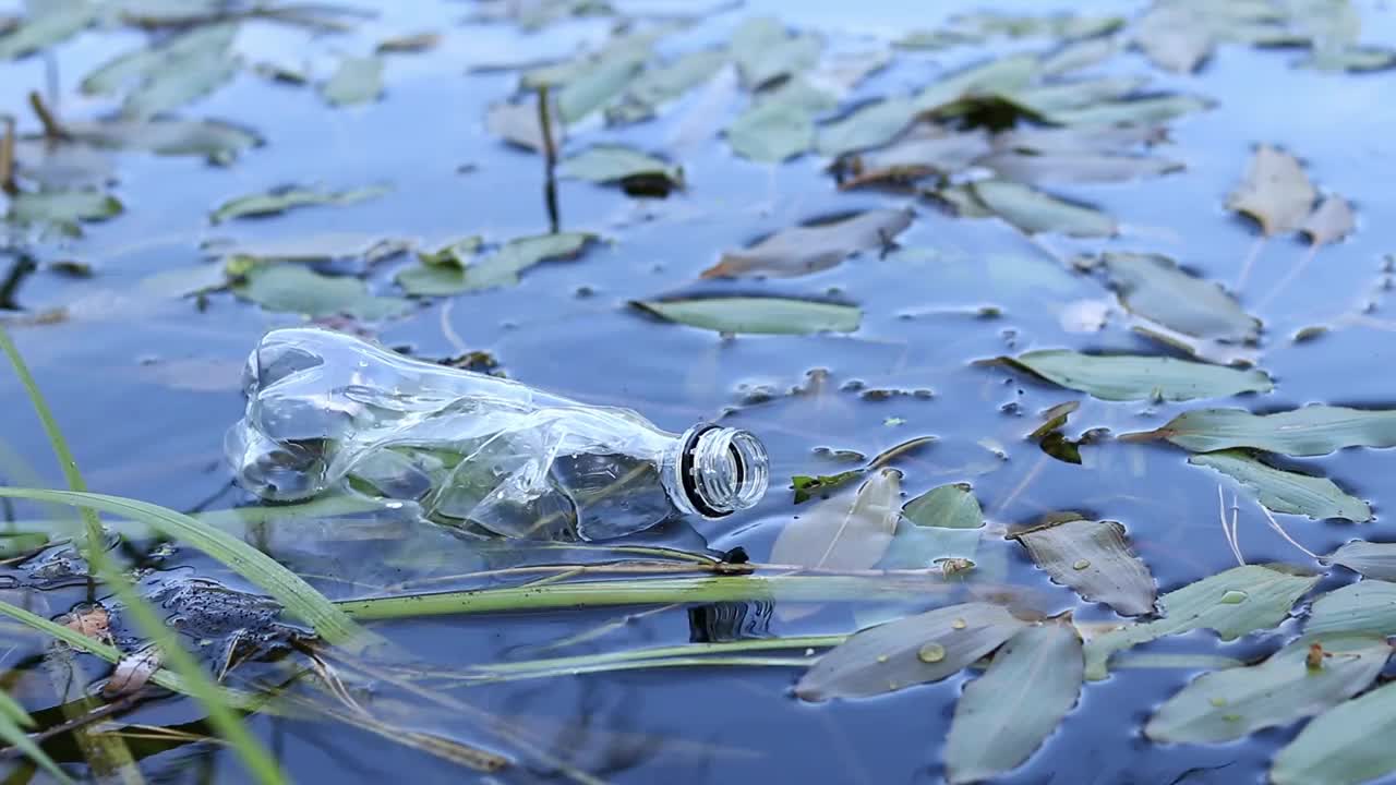 塑料瓶在水，湖或河视频素材