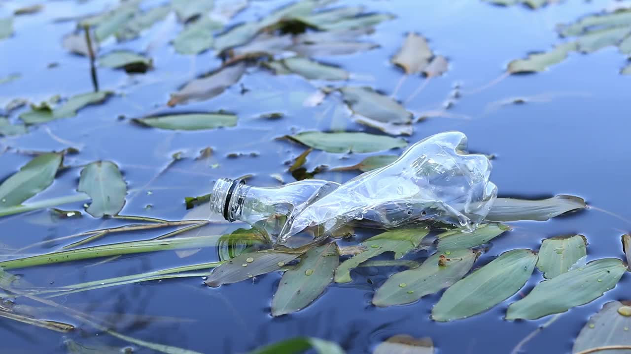 塑料瓶在水，湖或河视频素材