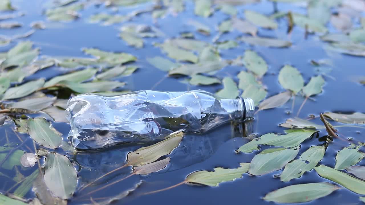 塑料瓶在水，湖或河视频下载