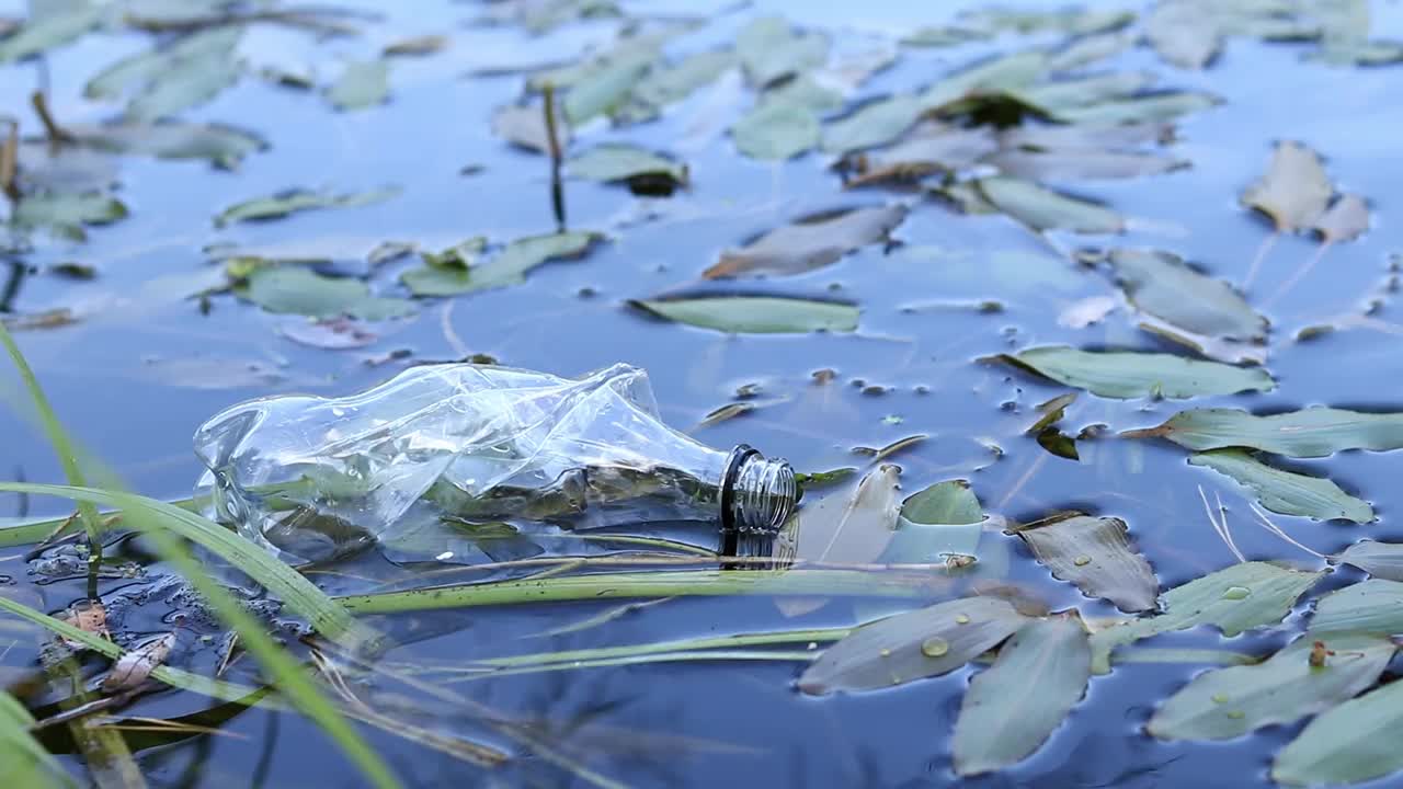 一位戴着手套的志愿者在湖中收集塑料瓶视频下载