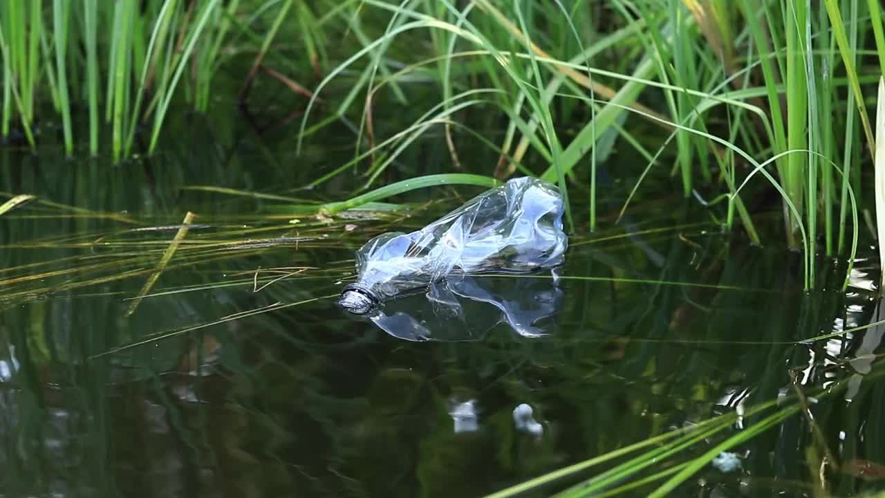 一位戴着手套的志愿者在湖中收集塑料瓶视频素材