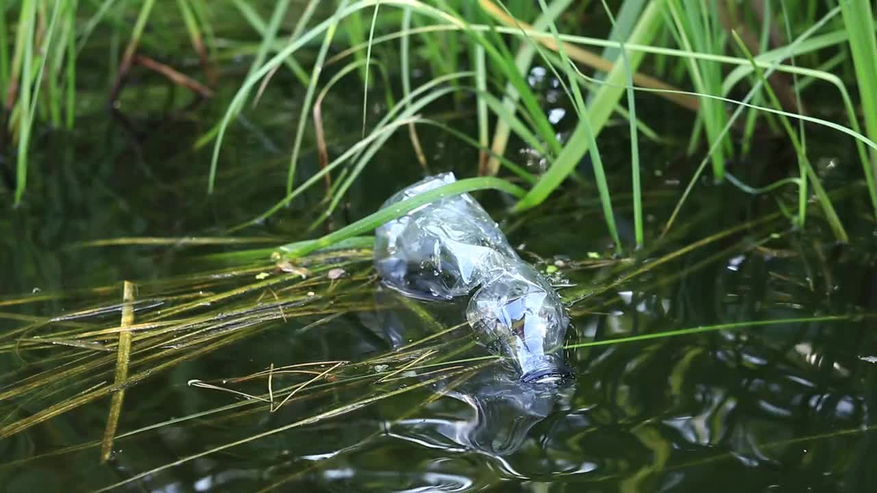 一位戴着手套的志愿者在湖中收集塑料瓶视频素材