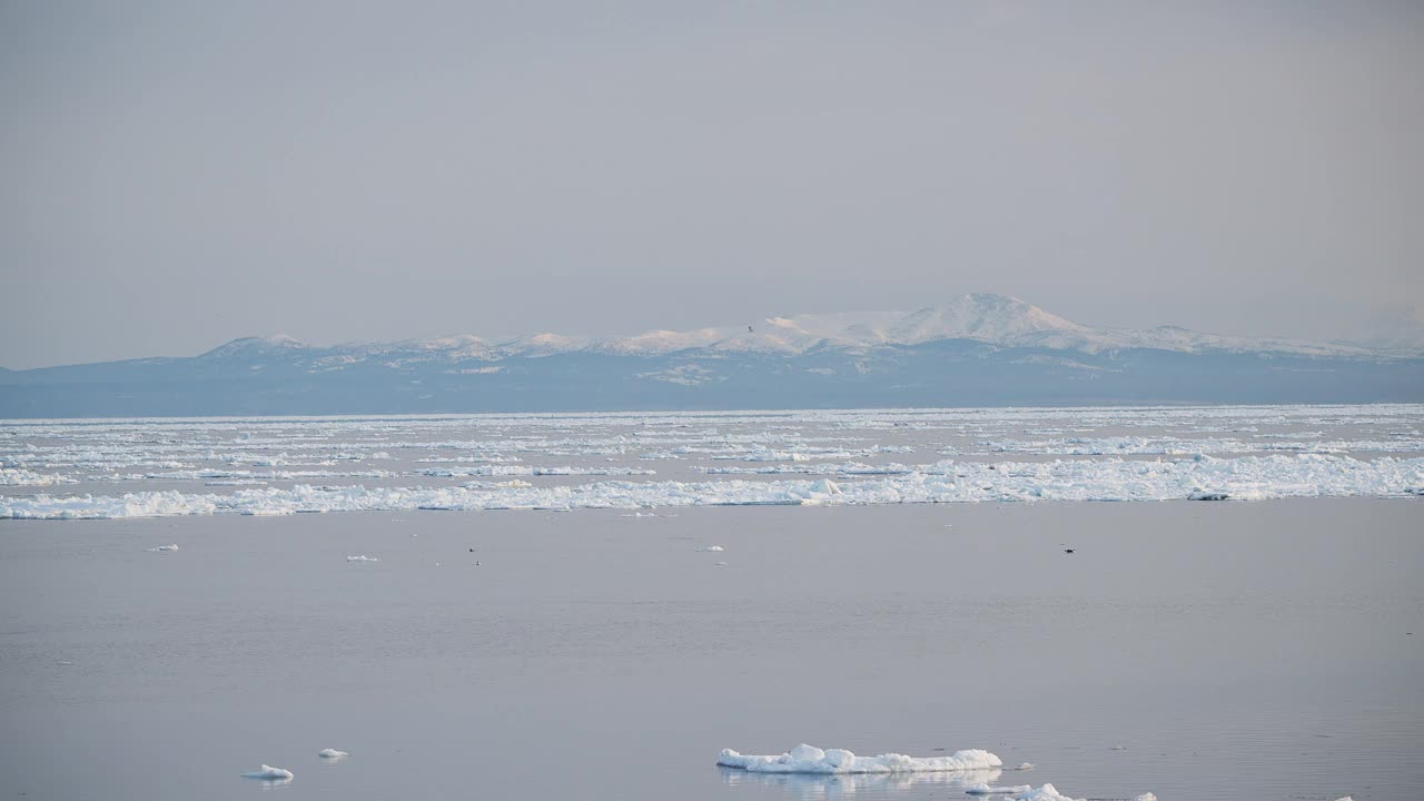 浮冰和国尻岛视频下载