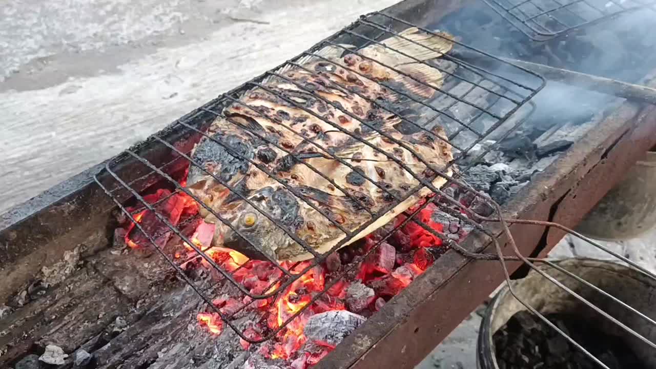 烤鱼在烧过的煤上经过清洗和劈开，使烤制过程更容易视频下载