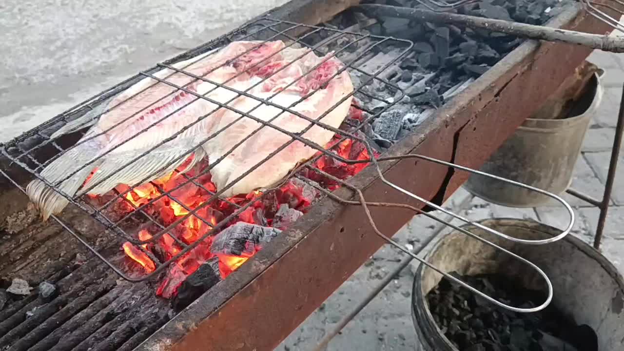 烤鱼在烧过的煤上经过清洗和劈开，使烤制过程更容易视频下载