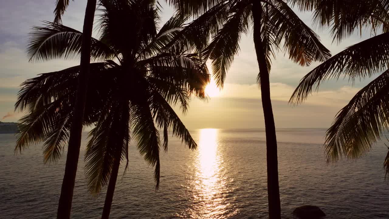 剪影椰树在美丽的日落或日出天空在海上，惊人的光自然彩云景观，美丽的光自然天空和云海景，天空云的背景视频素材