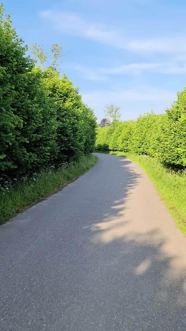 在德国的一条乡间小路上，从一辆快速行驶的自行车上看到的风景，路边有绿色的树木和灌木丛。视频下载