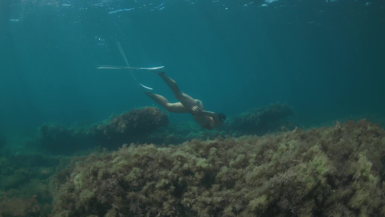 一名女子在透明的淡水湖中用自由潜水鳍在水下游泳视频素材