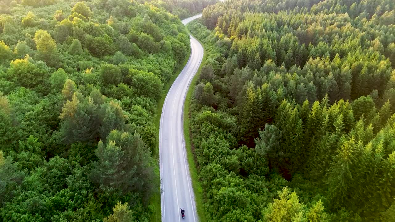 日落鸟瞰图:三个骑自行车的人沿着蜿蜒的道路穿过茂密的森林视频素材