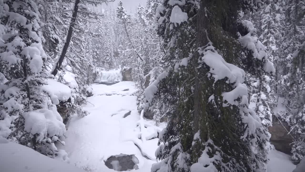 约翰逊峡谷视频素材