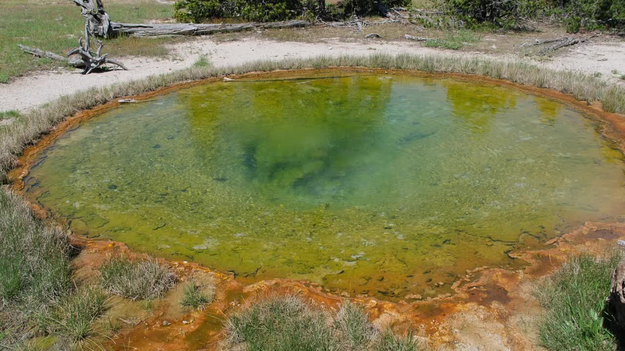 美国黄石国家公园的绿色温泉温泉池视频素材