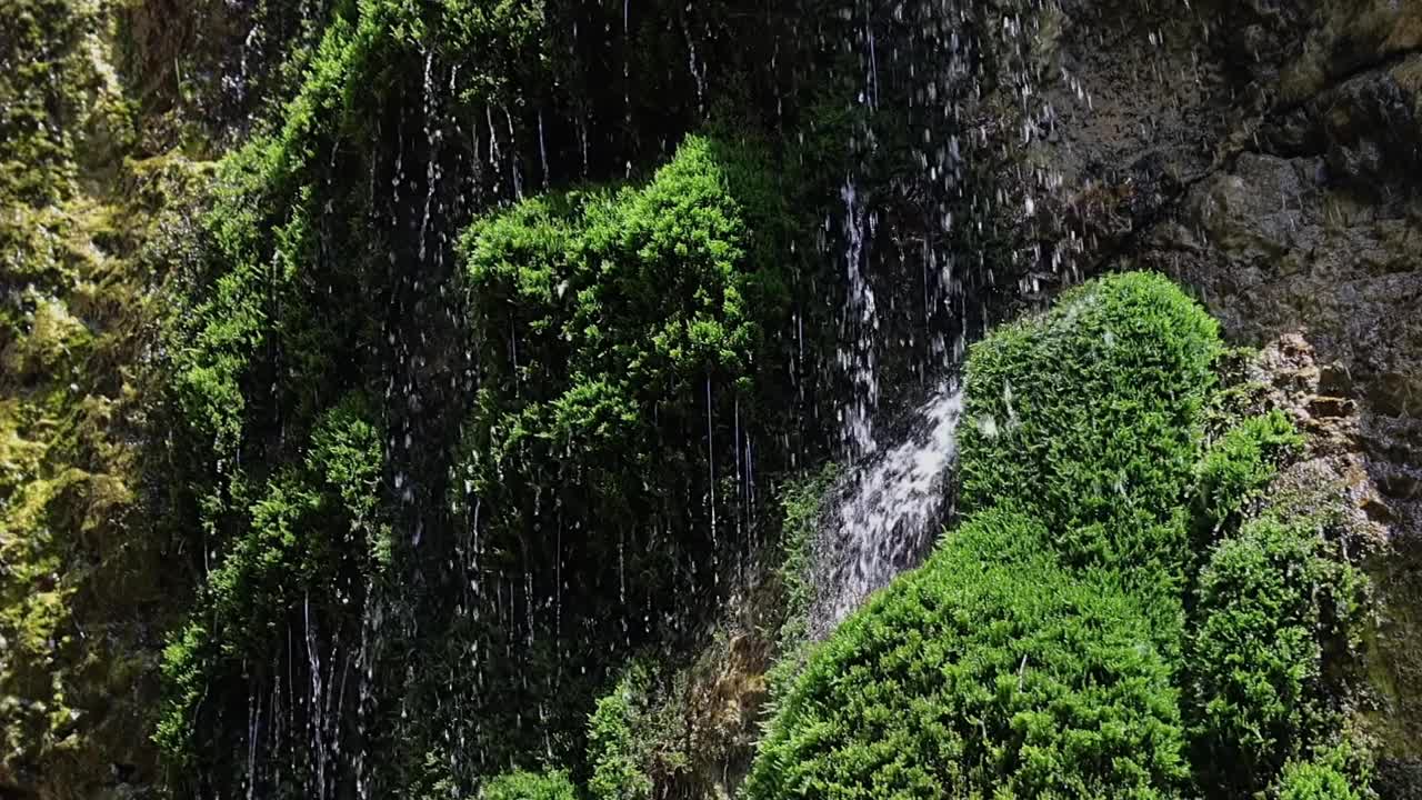 水在石头和苔藓上缓慢流动。阿尔卑斯山奥地利山视频下载