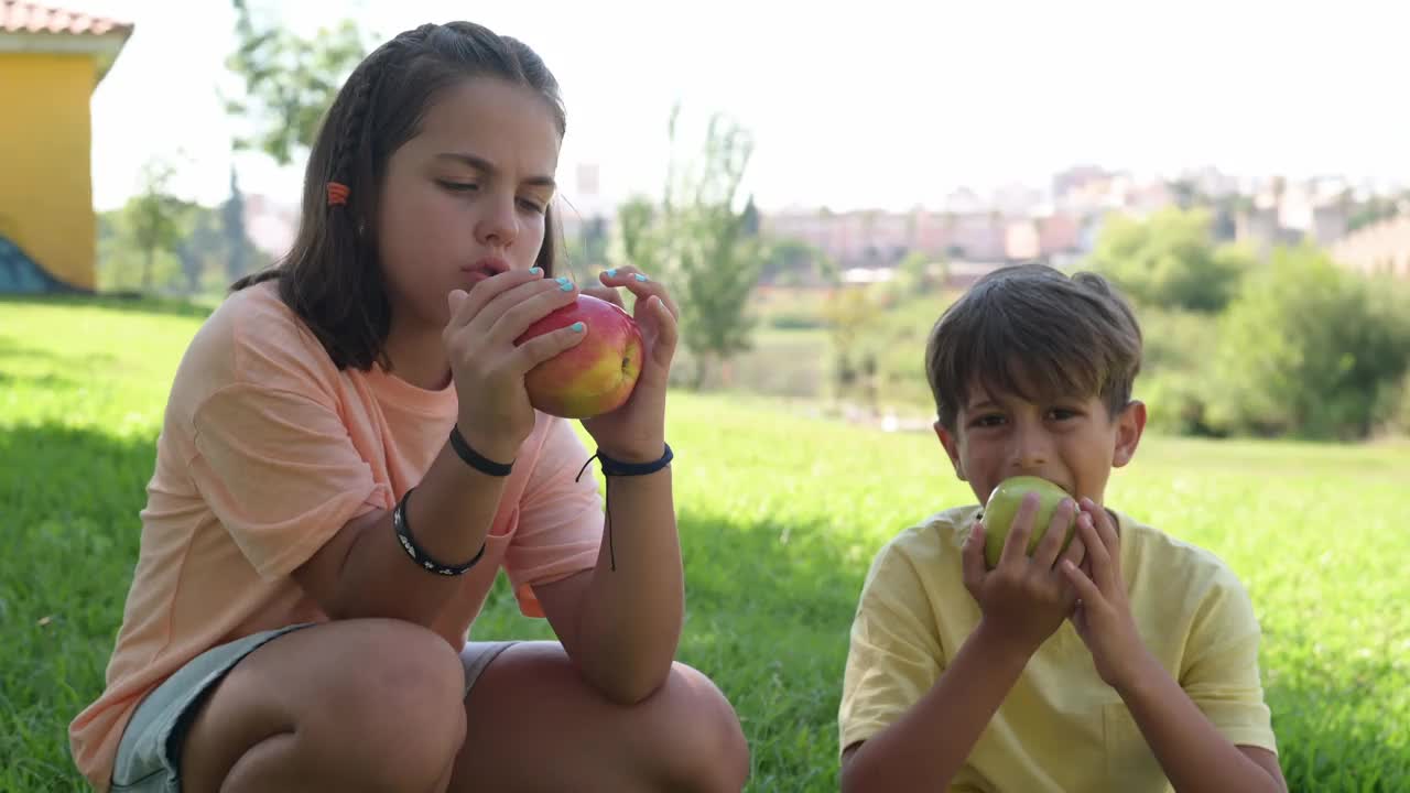 小学生男孩和女孩坐在户外公园的草地上吃健康的食物。视频下载