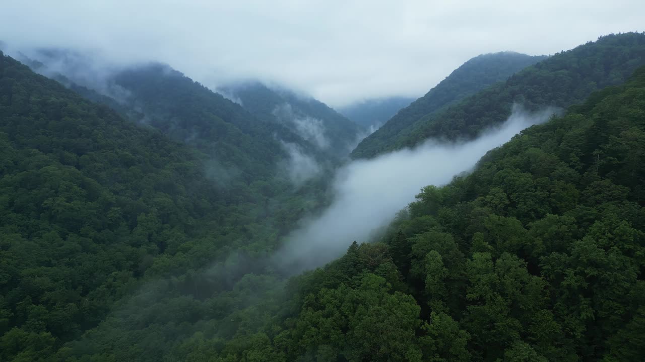 北海道的富良野山视频下载