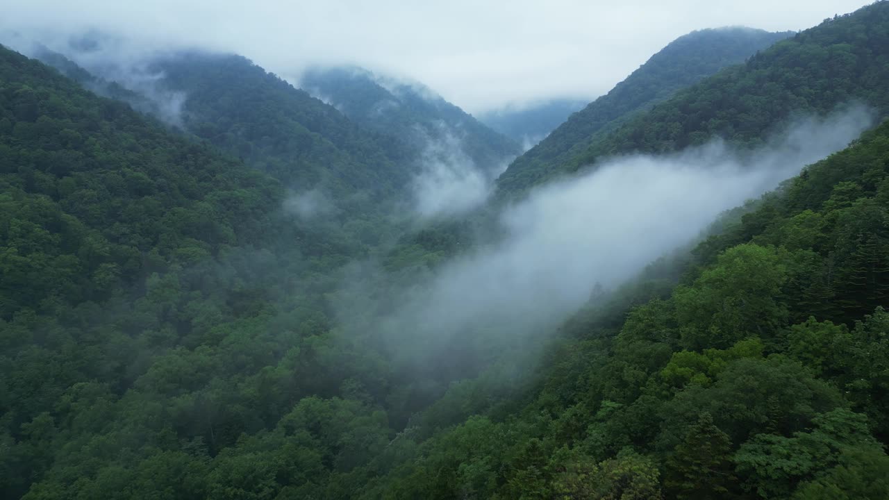 北海道的富良野山视频下载