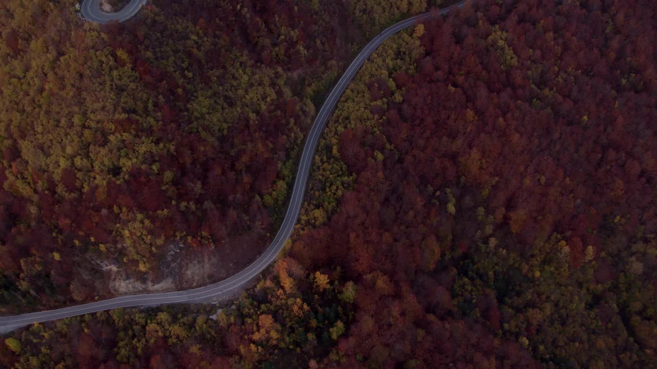 鸟瞰图，蜿蜒的道路穿过秋天的森林和山，黑山。视频素材