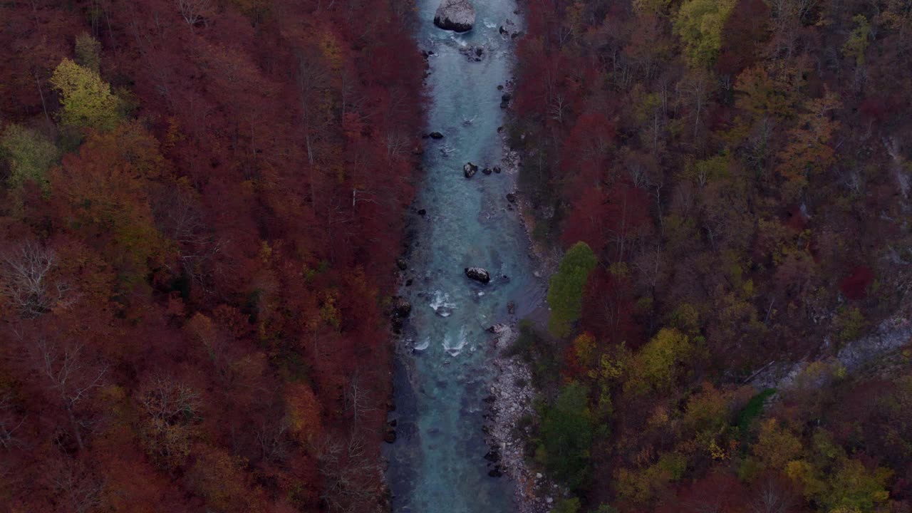 俯瞰宁静的峡谷与多彩的树叶和河流，黑山。视频素材