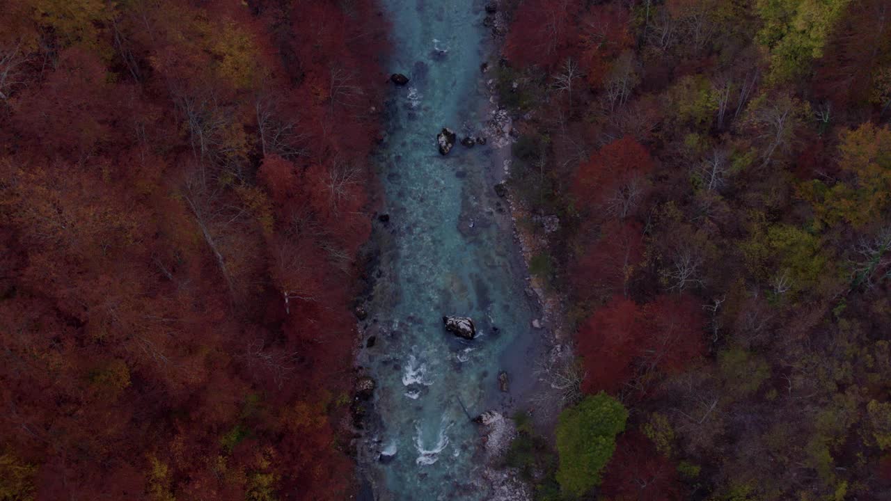 鸟瞰图秋季峡谷与河流和森林，黑山。视频素材