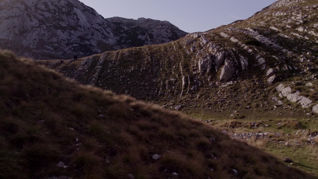 鸟瞰崎岖的山地地形和放牧的马，黑山。视频素材