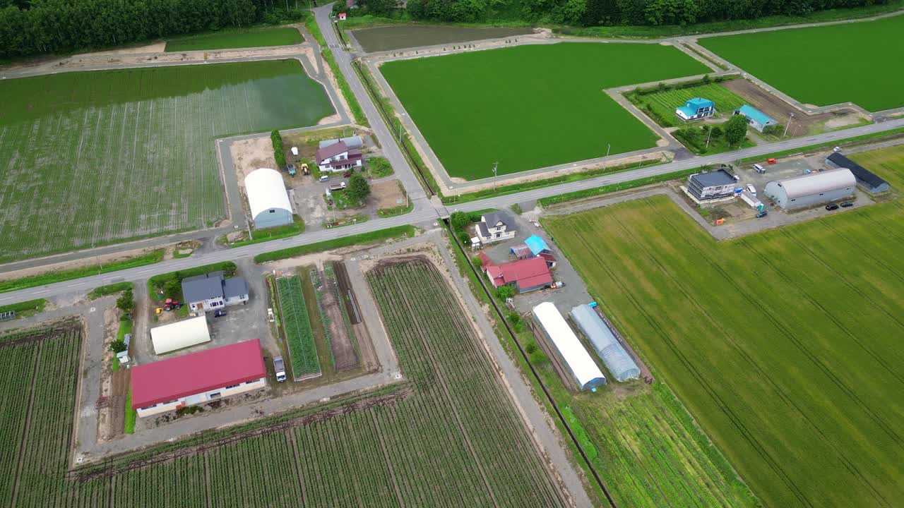 鸟瞰日本北海道的农场视频下载