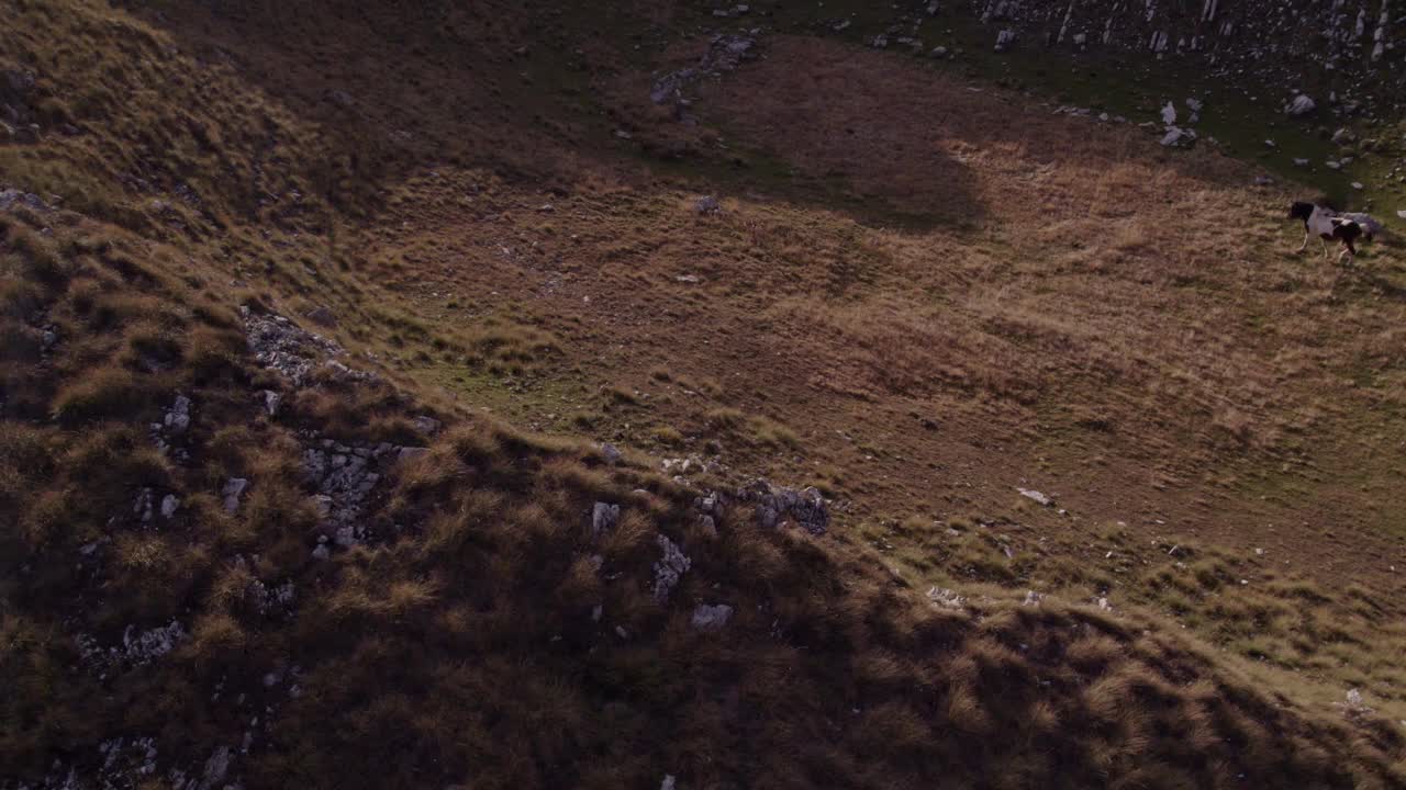 鸟瞰崎岖的山地地形和日落时的野马，黑山。视频素材