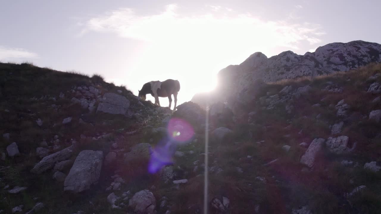 鸟瞰山景观在日落与马，黑山。视频素材