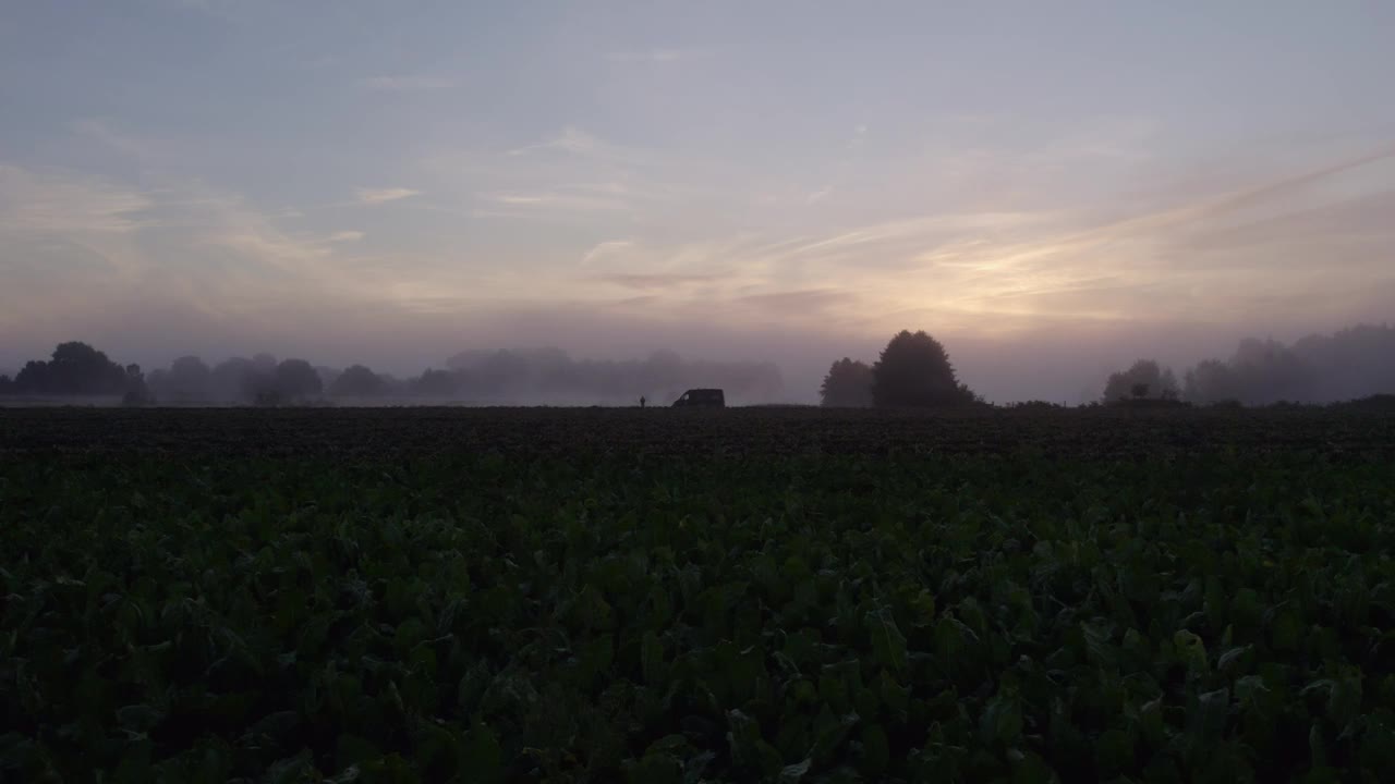 鸟瞰宁静的湖在日出与晨雾和露营，荷兰。视频素材