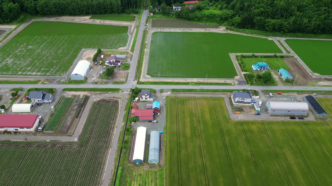 鸟瞰日本北海道的农场视频下载