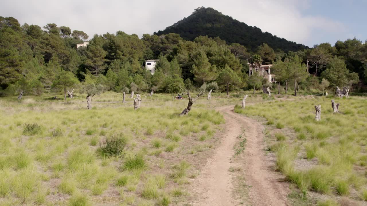 西班牙，摩托车和橄榄树环绕的蜿蜒道路鸟瞰图。视频素材