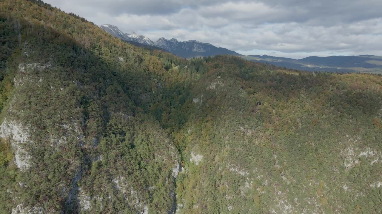 斯洛文尼亚特里格拉夫山、森林、湖泊鸟瞰图。视频素材