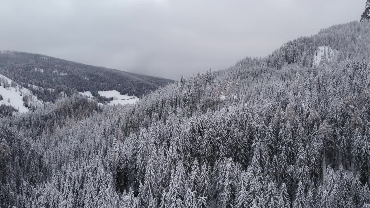 鸟瞰雪山和松树林，意大利。视频素材