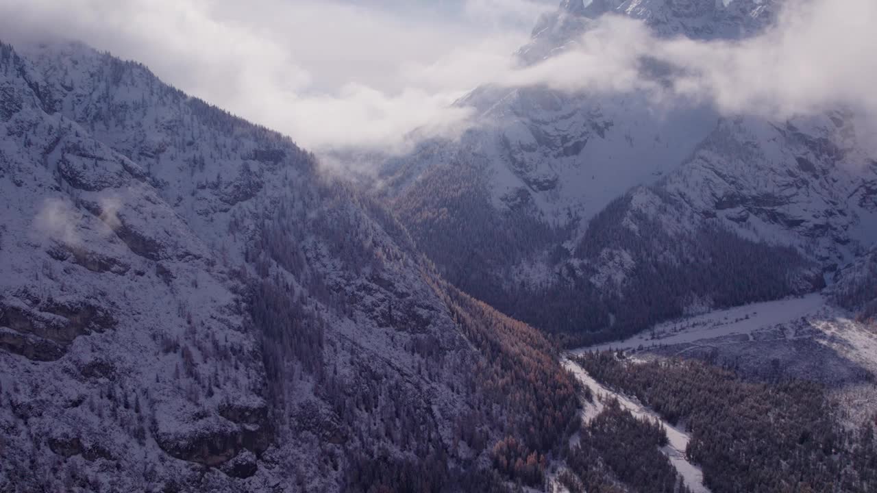 意大利白云石山脉和松树的鸟瞰图。视频素材