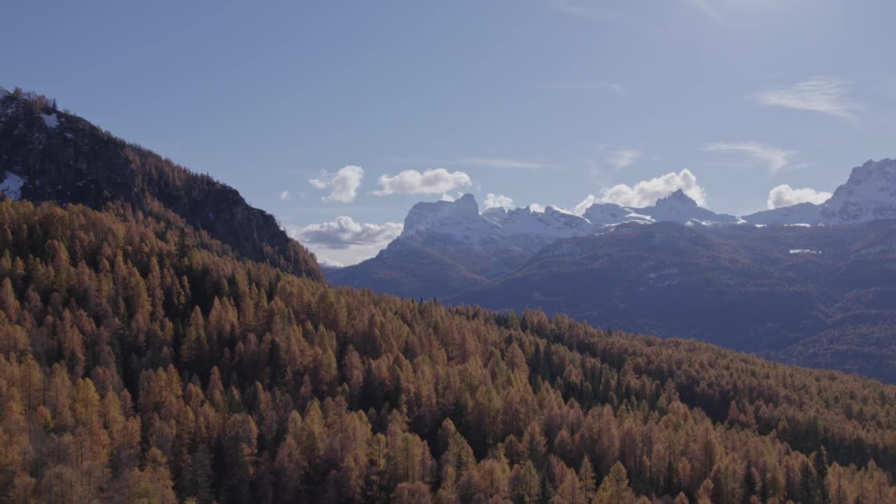 鸟瞰秋天的山峰与松树和山谷，意大利。视频素材