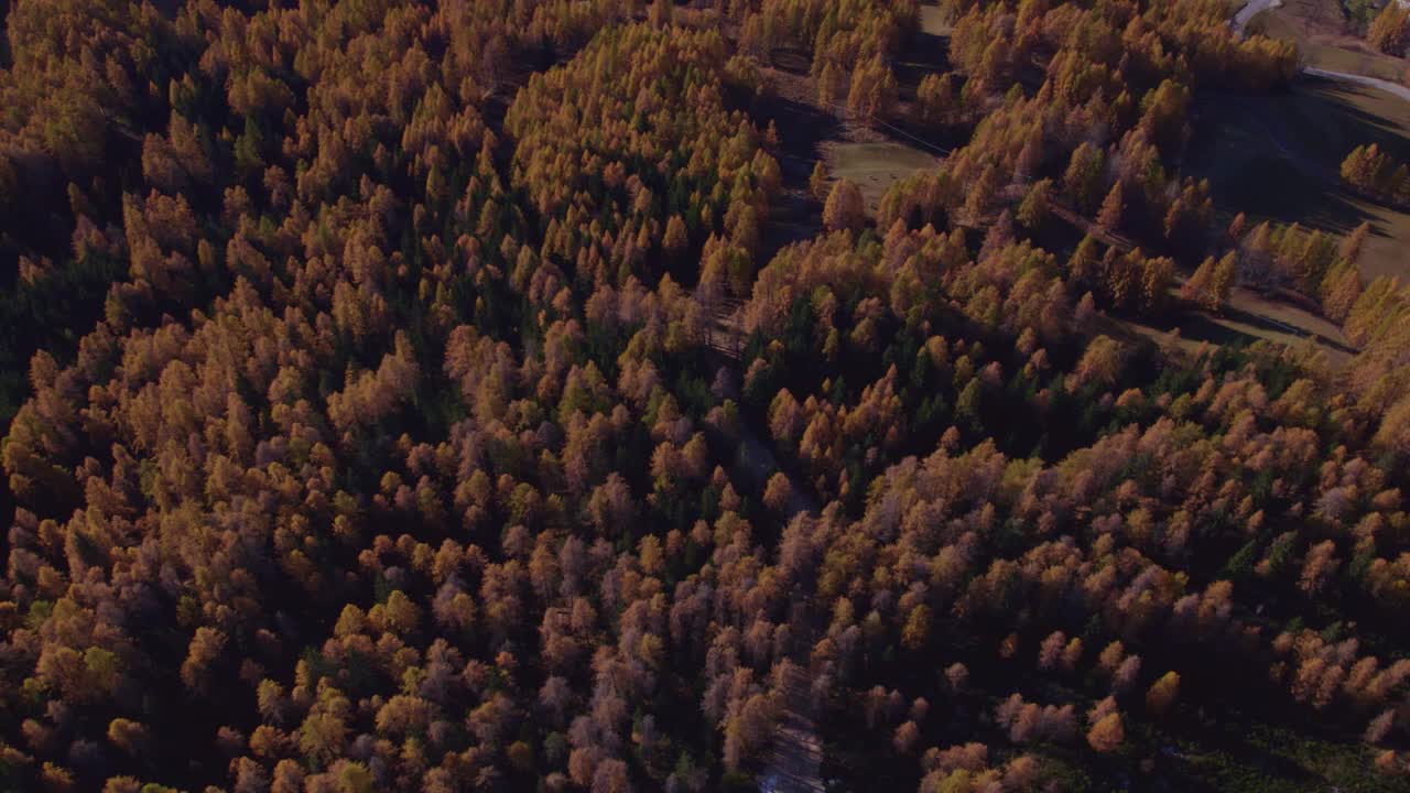 鸟瞰图的村庄在白云石与秋叶，意大利。视频素材