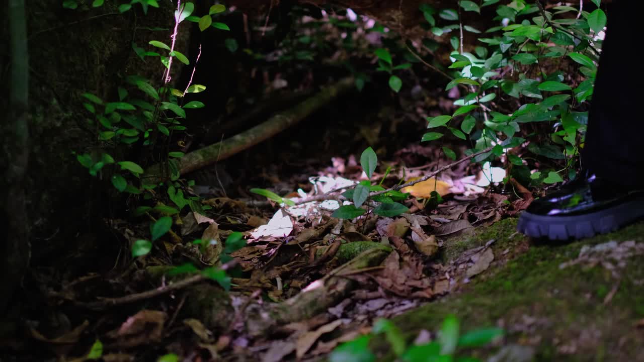 亚洲女孩探索森林和山脉视频素材