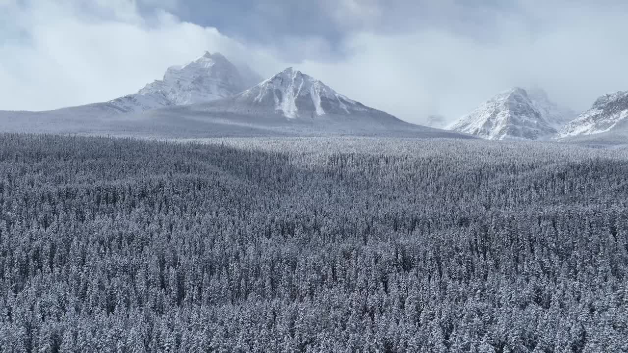 班夫的冬季景观视频素材