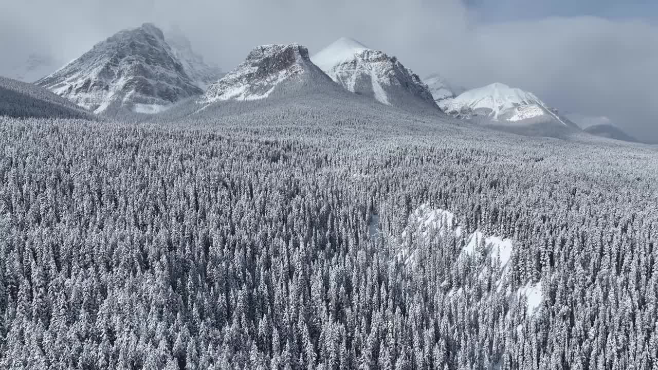 班夫的冬季景观视频素材