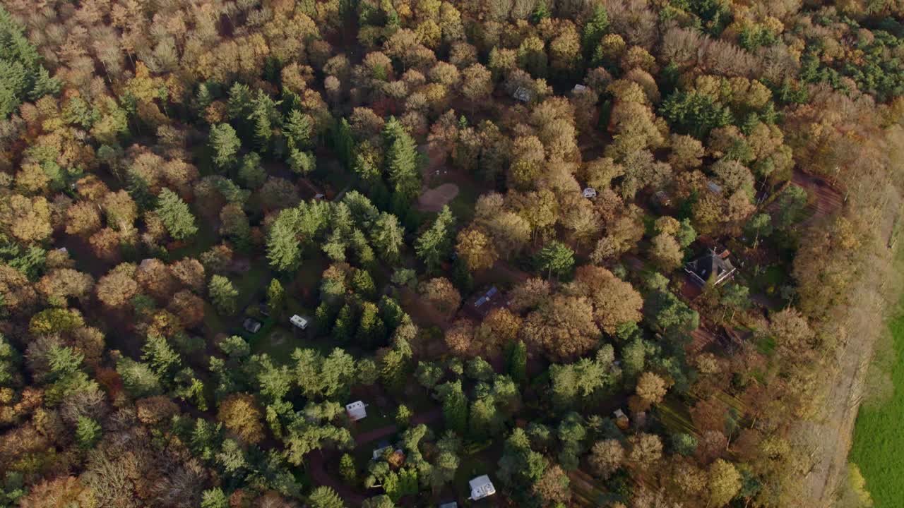 鸟瞰秋天的森林，松树和露营地，荷兰。视频素材