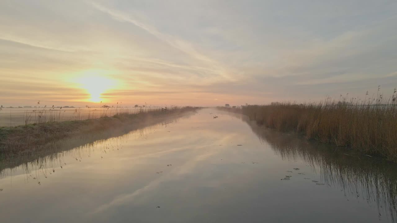 鸟瞰荷兰湿地上的日出和鹅。视频素材