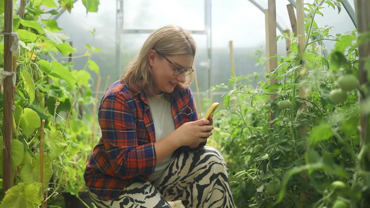 高加索园丁妇女在户外用智能手机检查农作物生长和收获蔬菜的肖像。视频素材